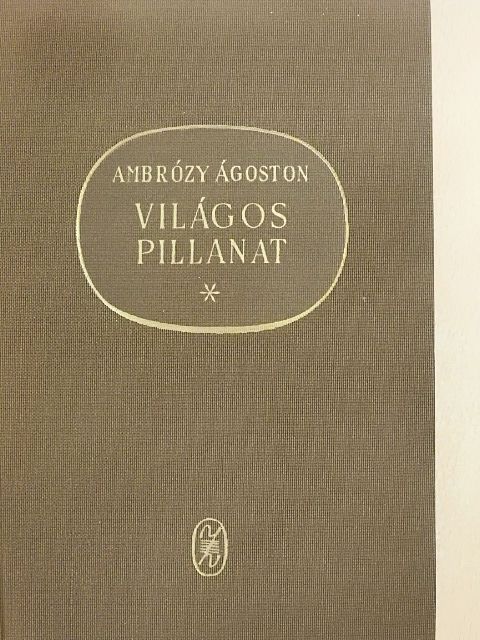 Ambrózy Ágoston - Világos pillanat [antikvár]