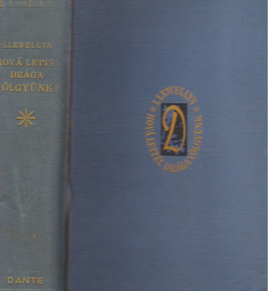 RICHARD LLEWELLYN - Hová lettél drága völgyünk? [antikvár]