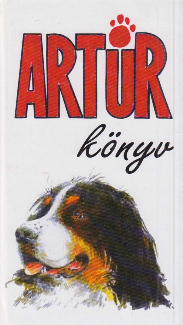 SZÜCS GÁBOR - Artúrkönyv [antikvár]