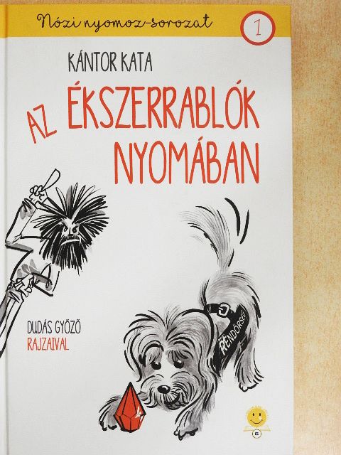Kántor Kata - Az ékszerrablók nyomában [antikvár]