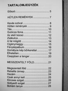 Gubicza Jenő - Hűtlen remények (dedikált példány) [antikvár]