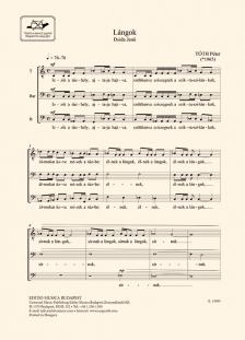 Tóth Péter - LÁNGOK FÉRFIKARRA,DSIDA JENŐ VERSÉRE