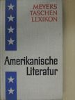 Eberhard Brüning - Amerikanische Literatur [antikvár]