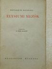 Salvador De Madariaga - Elysiumi mezők [antikvár]