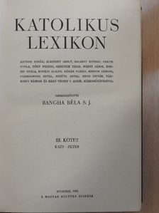 Katolikus lexikon III. (töredék) [antikvár]