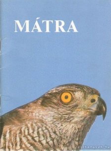 KOVÁCSNÉ FÖLDESSY MARIANN - Mátra [antikvár]