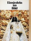Dr. P. Ludwig Räber - Einsiedeln im Bild [antikvár]