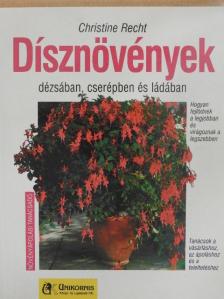 Christine Recht - Dísznövények dézsában, cserépben és ládában [antikvár]