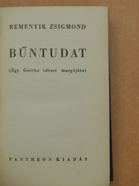 Remenyik Zsigmond - Bűntudat [antikvár]