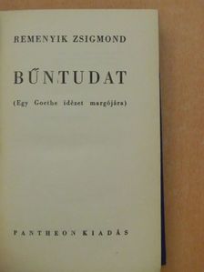 Remenyik Zsigmond - Bűntudat [antikvár]