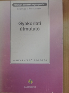 Dr. Martin Hajdu György - Pénzügyi döntések megalapozása - Gyakorlati útmutató [antikvár]