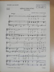 Havasy Viktor - Színes forgatag [antikvár]