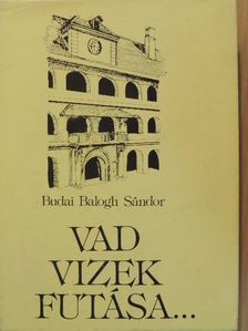 Budai Balogh Sándor - Vad vizek futása... [antikvár]