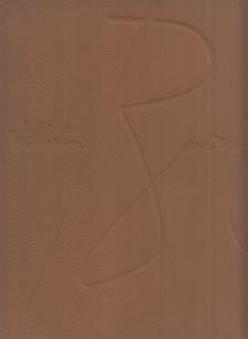Wilhelm Busch - Eins-Zwei-Drei im Sauseschritt [antikvár]