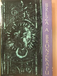 Tadeusz Breza - A bronzkapu [antikvár]