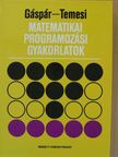 Gáspár László - Matematikai programozási gyakorlatok [antikvár]