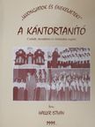 Haller István - A kántortanító [antikvár]