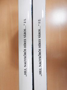 Novák László - Nagykőrös története és néprajza a XIX. század közepéig I/1-2. (dedikált példány) [antikvár]