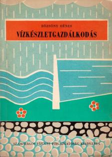 Bözsöny Dénes - Vízkészletgazdálkodás [antikvár]