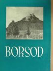 Borsod [antikvár]