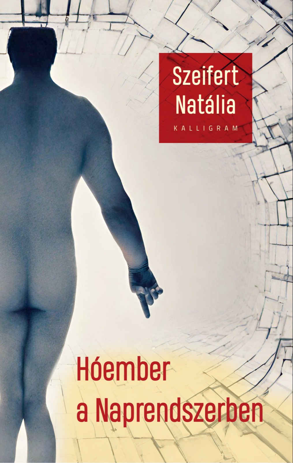 Szeifert Natália - Hóember a Naprendszerben [eKönyv: epub, mobi]