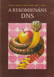 Watson, James D., Tooze, John, Kurtz, David T. - A rekombináns DNS [antikvár]