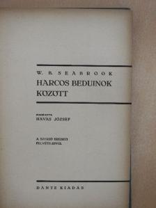 W. B. Seabrook - Harcos beduinok között [antikvár]