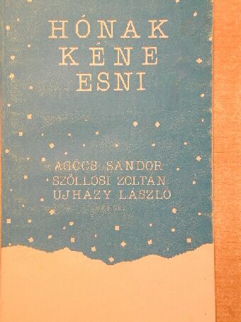 Agócs Sándor - Hónak kéne esni [antikvár]