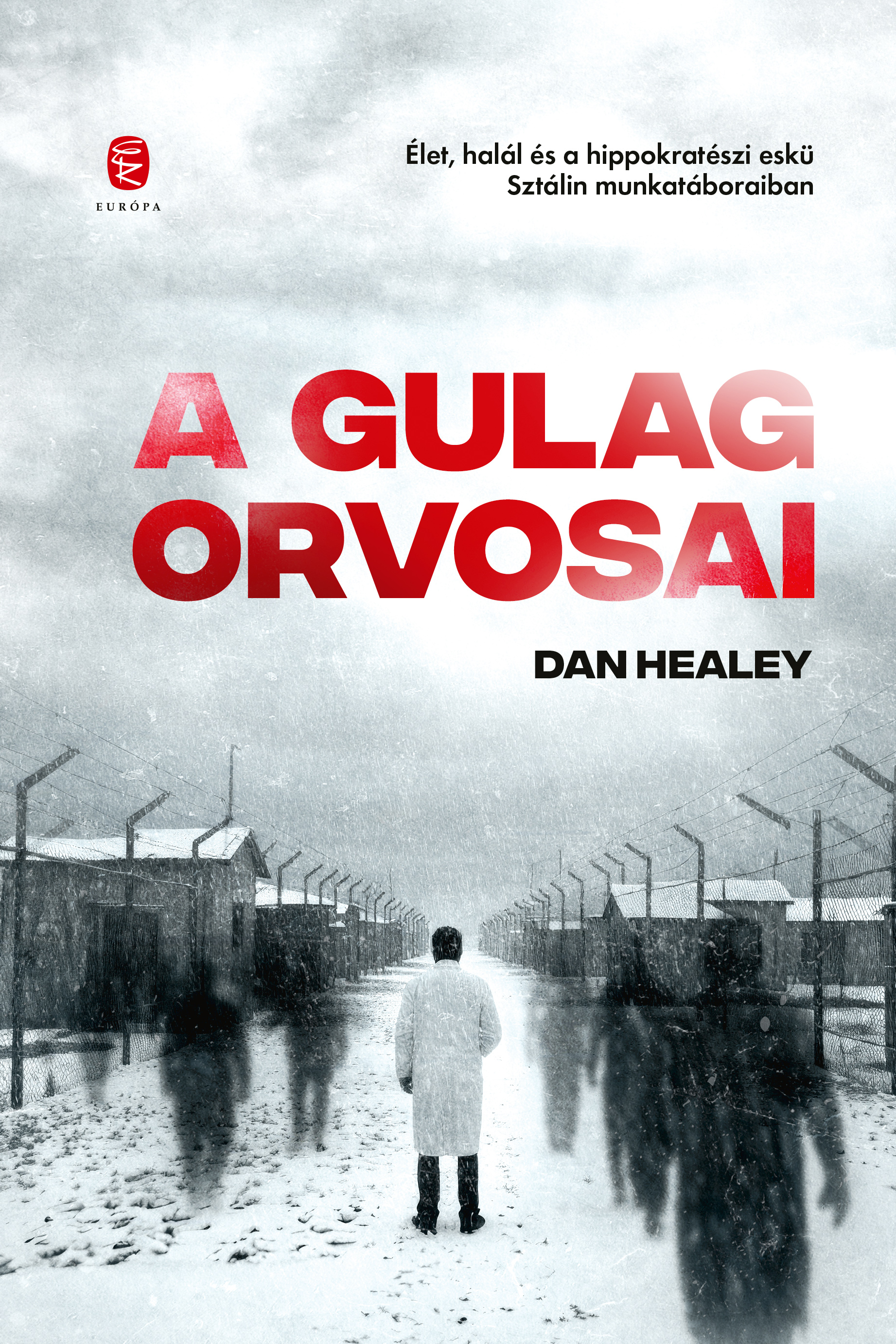 Dan Healey - A Gulág orvosai