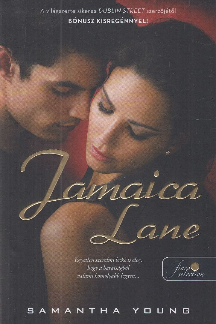 Samantha Young - Jamaica Lane [antikvár]