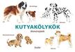 Inca Starzinsky (design) - Kutyakölykök - Memóriajáték