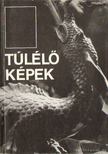 Kántor László - Túlélő képek [antikvár]