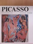 Daniéle Boone - Picasso [antikvár]