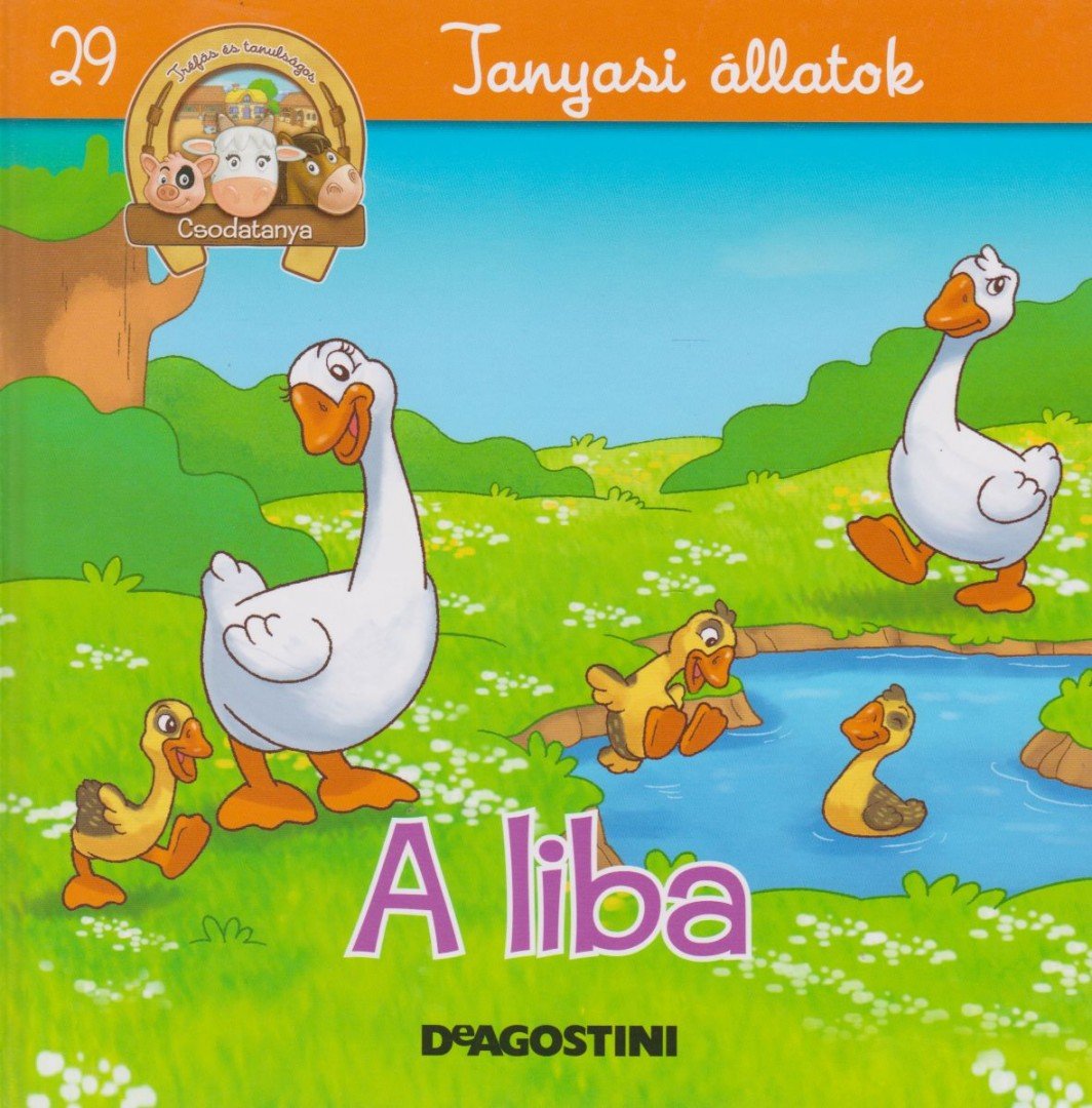Gilles Laurendon - A liba [antikvár]