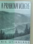 Costin Stefanescu - A Prahova völgye [antikvár]