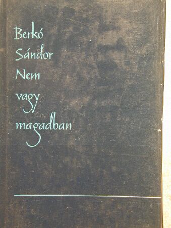 Berkó Sándor - Nem vagy magadban [antikvár]