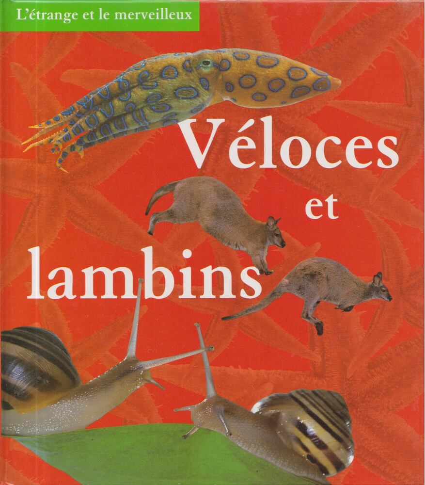 Barbara Taylor - Véloces et lambins [antikvár]