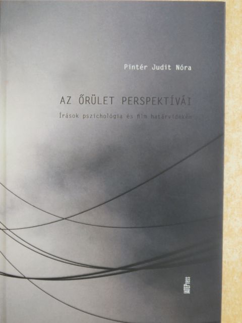 Pintér Judit Nóra - Az őrület perspektívái [antikvár]