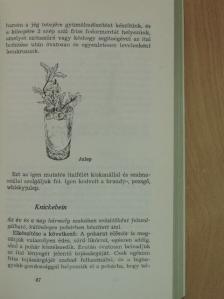 Bagi Márta - Koktélok és báritalok [antikvár]
