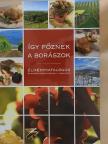 Így főznek a borászok [antikvár]