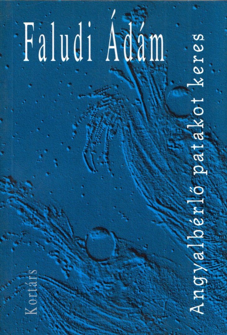 Faludi Ádám - Angyalbérlő patakot keres [antikvár]
