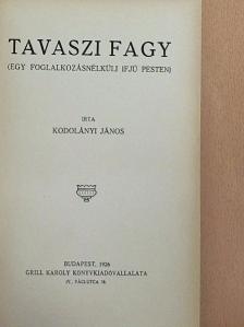Kodolányi János - Tavaszi fagy [antikvár]