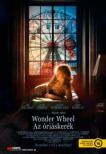 WONDER WHEEL - Az óriáskerék DVD