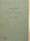 A. De Bary - Vorlesungen über Bakterien [antikvár]
