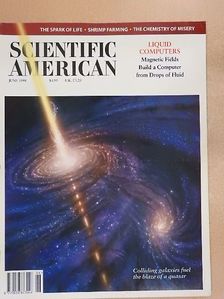 Charles B. Nemeroff - Scientific American June 1998 [antikvár]