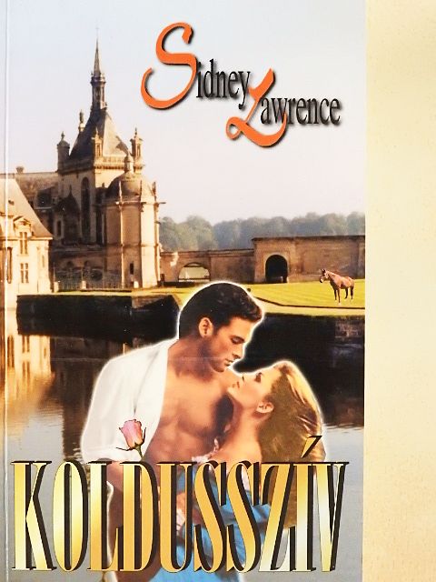 Sidney Lawrence - Koldusszív [antikvár]