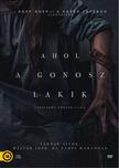 Gulliermo Amoedo - AHOL A GONOSZ LAKIK - DVD