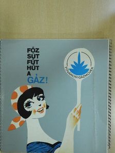 Főz, süt, fűt, hűt a gáz!/Gáz a háztartásban [antikvár]