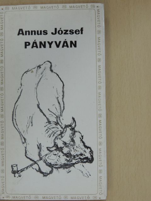 Annus József - Pányván/Egyenközű vonalak [antikvár]