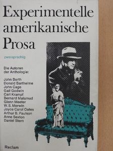 Anne Sexton - Experimentelle amerikanische Prosa [antikvár]